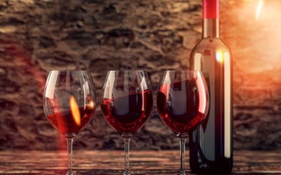 Investice do vína? část 1. – vinice nebo vinařství?
